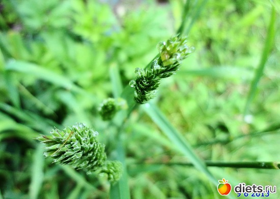 39 ����: ����� � ����-�������� ����!