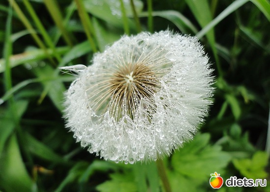 40 ����: ����� � ����-�������� ����!