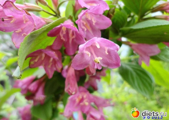 41 ����: ����� � ����-�������� ����!