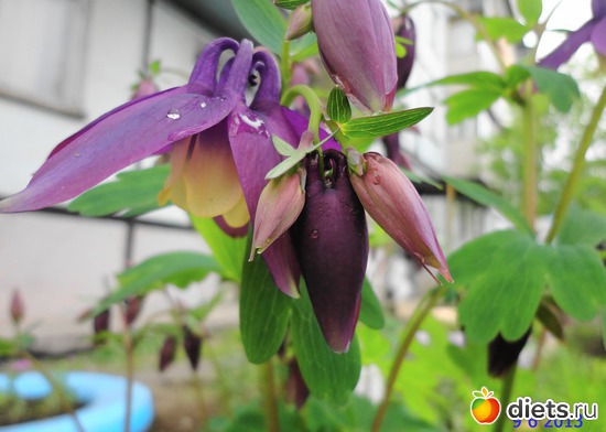 42 ����: ����� � ����-�������� ����!