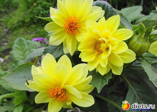 45 ����: ����� � ����-�������� ����!