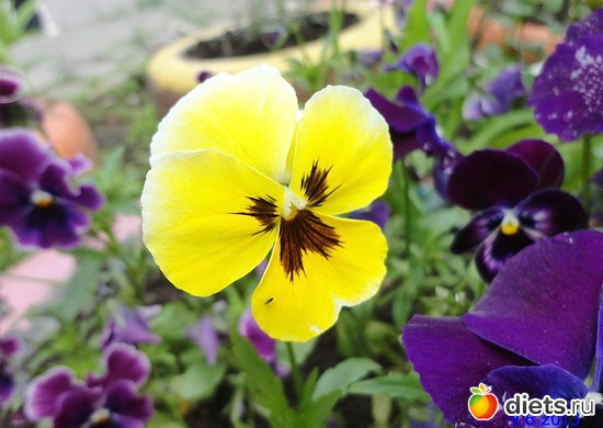 47 ����: ����� � ����-�������� ����!