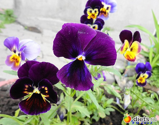 48 ����: ����� � ����-�������� ����!