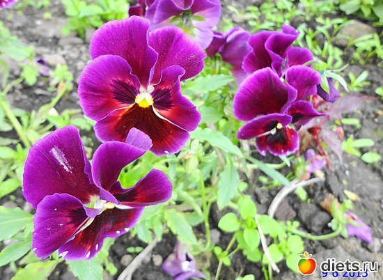 50 ����: ����� � ����-�������� ����!