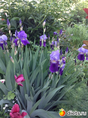 18 ����: ��� ���