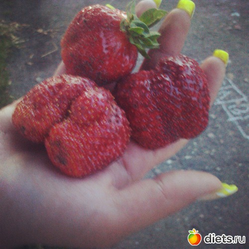 8 фото: Вкусняшки