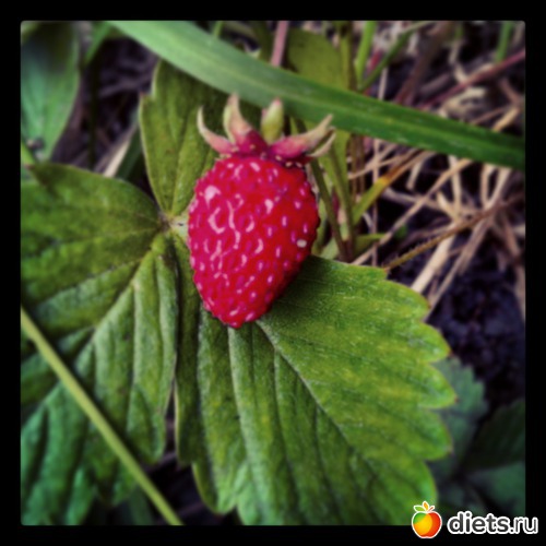 2 ����: ����, ����, ����