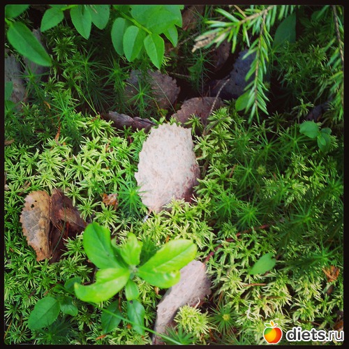 5 ����: ����, ����, ����