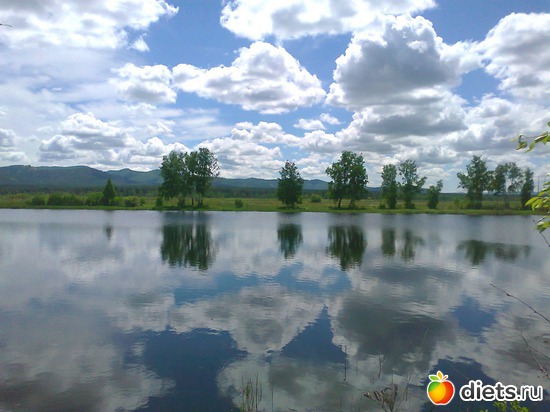 1 ����: ������ ����������