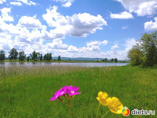 2 ����: ������ ����������