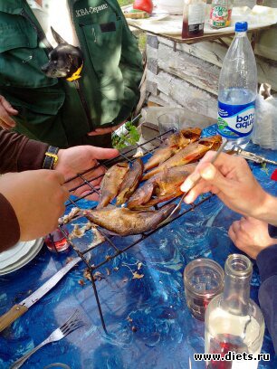 ����, ����, ����