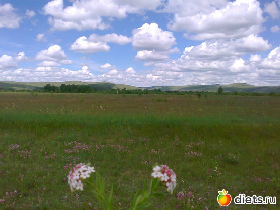 3 ����: ������ ����������