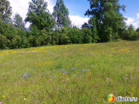 5 ����: ������ ����������