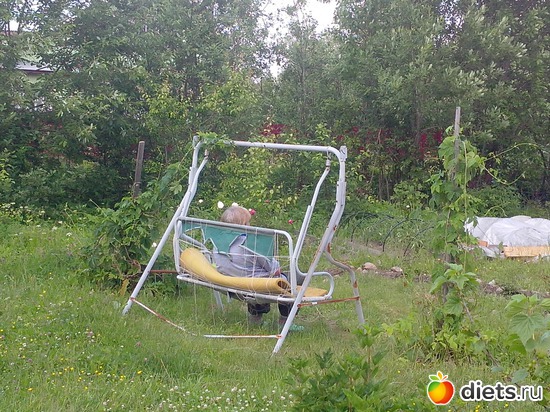 10 ����: ����, ����, ����