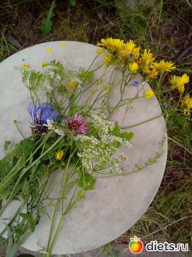 11 ����: ����, ����, ����