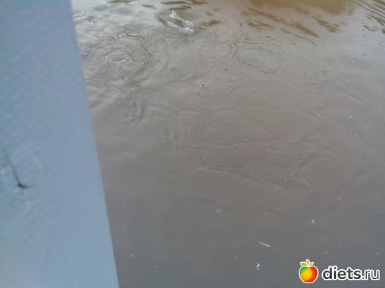 7 ����: �������� "������", �������� ���������)