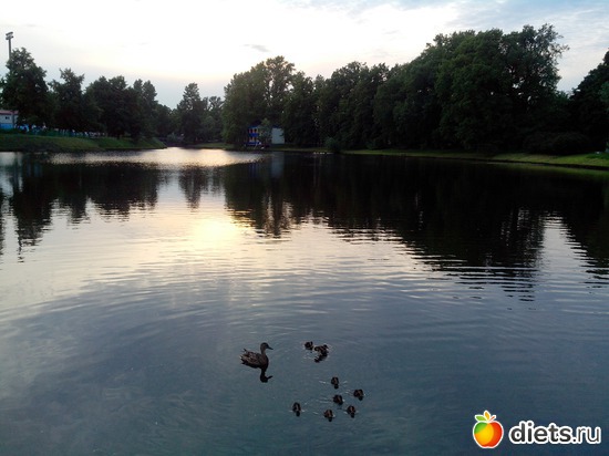 8 ����: �������� "������", �������� ���������)