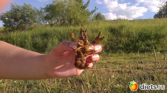 1 ����: �����