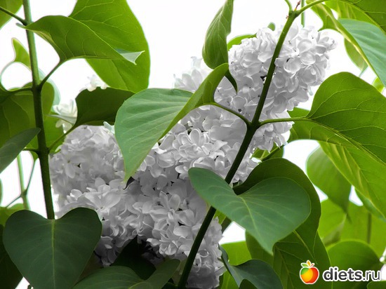 37 ����: �����-����-����� 2013 - 2015