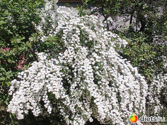 38 ����: �����-����-����� 2013 - 2015