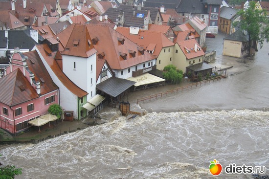 ���������� � ������ ��������, ������: ����� 2013 ���-����