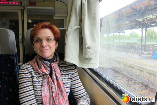 � ������ �����-������� ����, ������: ����� 2013 ���-����