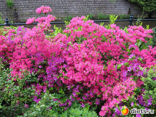 �������� ������, ������: ����� 2013 ���-����