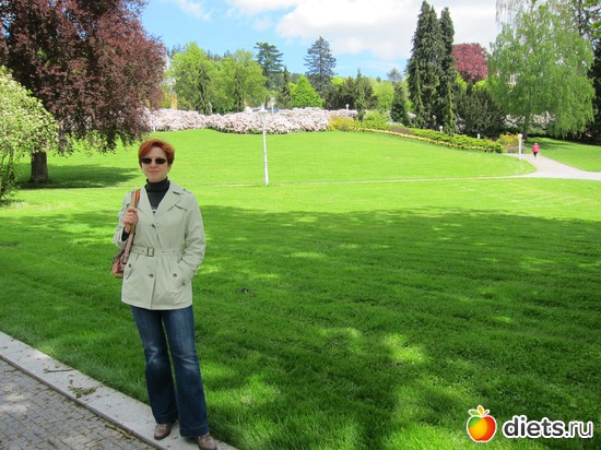 ���� �� 9 ����, ����� ��������� ������, ������: ����� 2013 ���-����