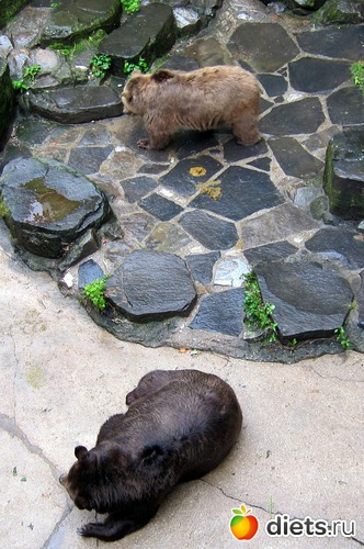 ����������� �������� �������, ������: ����� 2013 ���-����