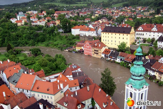 �������� ��������, ����������, ������: ����� 2013 ���-����