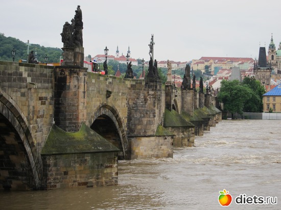 �������� ������ ����, ������: ����� 2013 ���-����