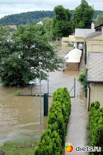 ����������� ����������� �� ���������� � �����, ������: ����� 2013 ���-����