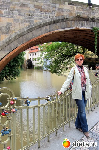 ����� ������ ��� �� ������ �� �������� �����, ������: ����� 2013 ���-����