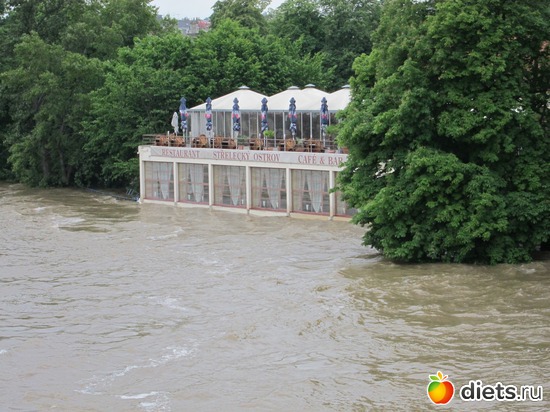 ����������� ���������� ������, ������: ����� 2013 ���-����