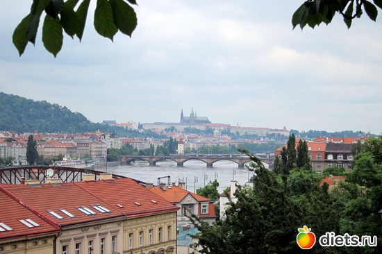 �������� ����� � ���������, ������: ����� 2013 ���-����