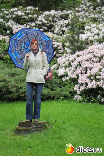 ���������� �����, ������: ����� 2013 ���-����