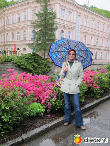 ������� ���� - ������ ������, ������: ����� 2013 ���-����