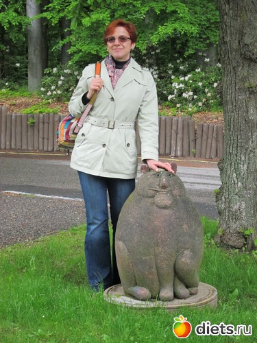 � �������, ������: ����� 2013 ���-����