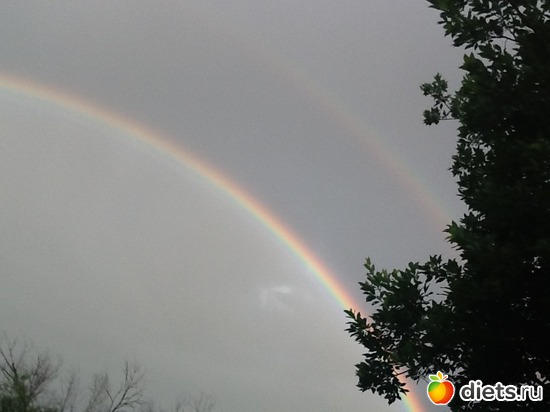 17.06.2013., ������: ������