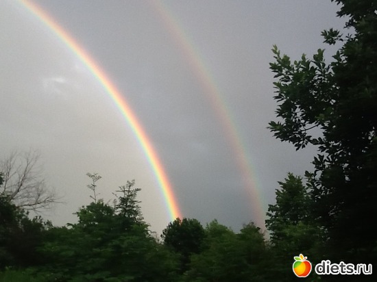 17.06.2013, ������: ������