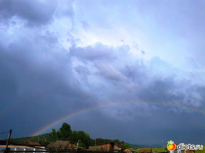 12 ����: ������ ����������