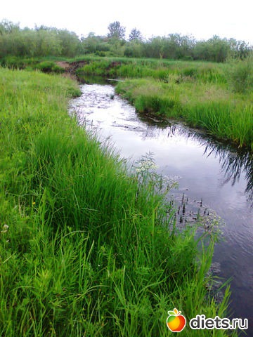 ������ ����������