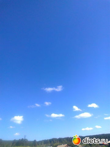 ������ ����������