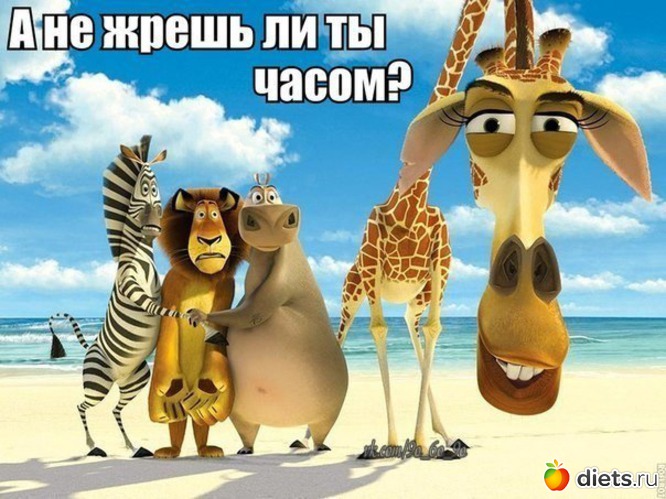 6 фото: Мотивашки и веселушки