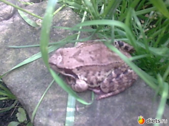   .                              .      .   ., :     .