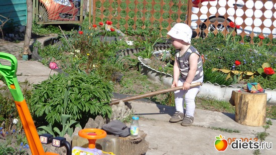 &quot;   !!&quot;, :  