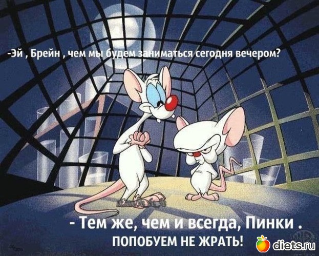 5 фото: Мотивашки и веселушки