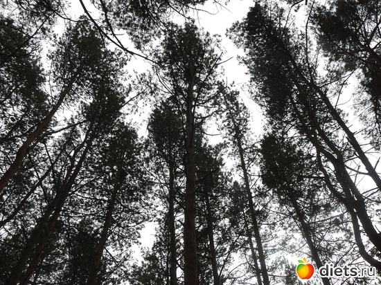 8 ����: ����������