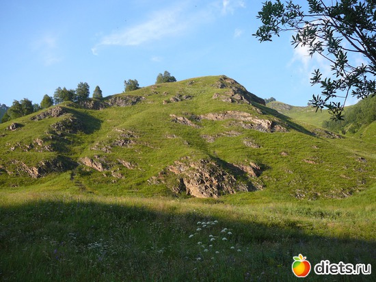 14 ����: ����������