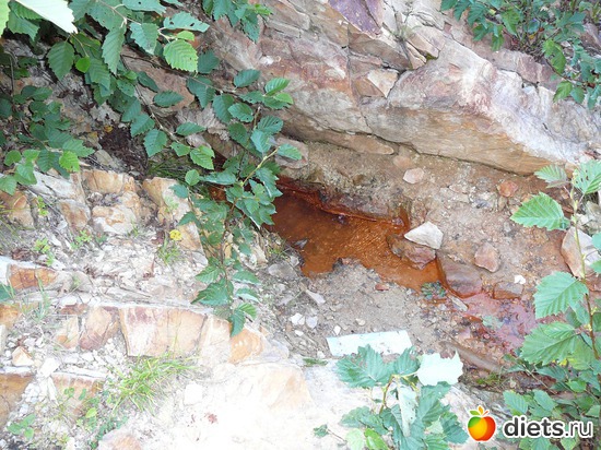 15 ����: ����������